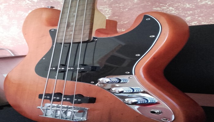 Bajo Faim Fretless Impecable
