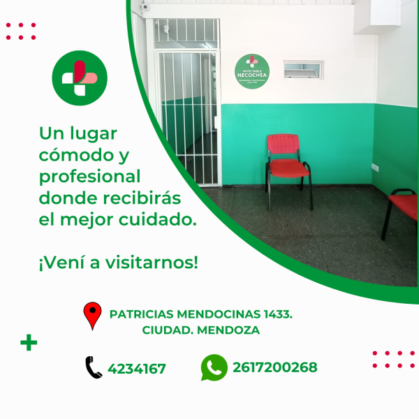 Servicios Profesionales en Mendoza