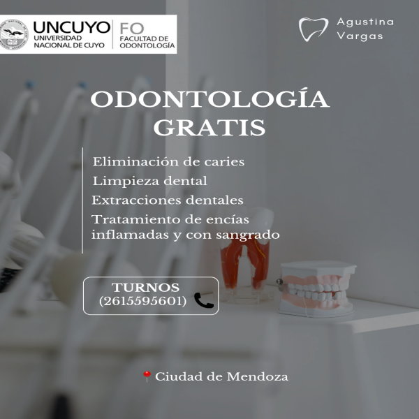 Servicios Profesionales en Mendoza