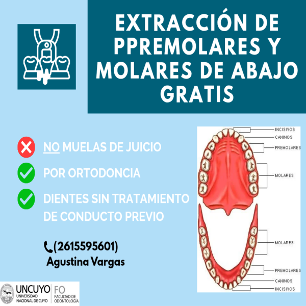 Servicios Profesionales en Mendoza