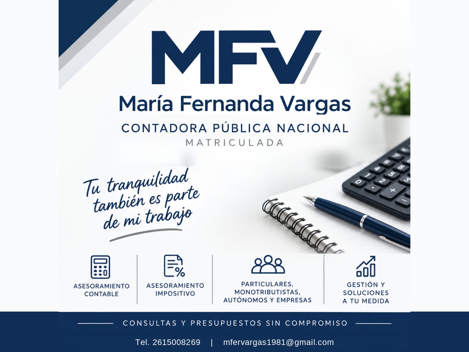 CONTADORA PUBLICA MATRICULADA