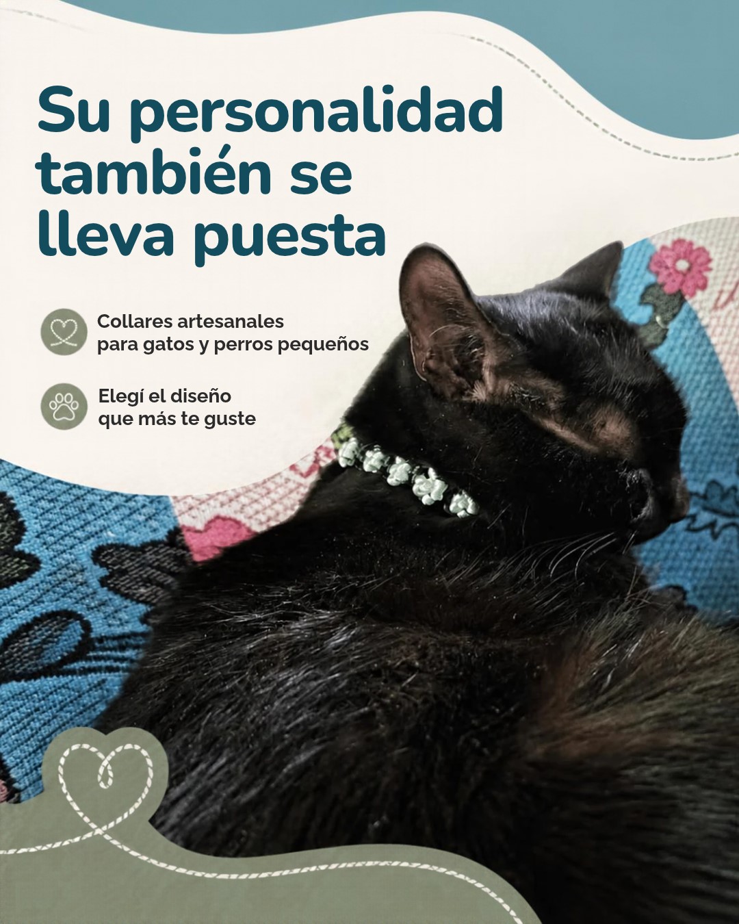 Collares para mascotas