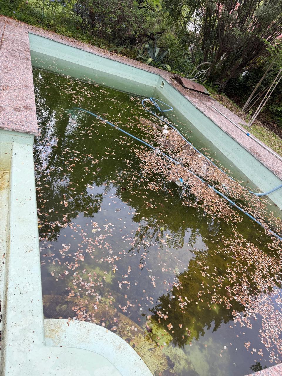 Servicio de Mantenimiento y Pintura de piscinas